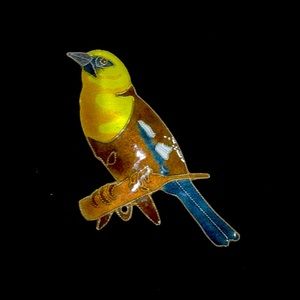 Vintage Sterling Enamel Bird Brooch